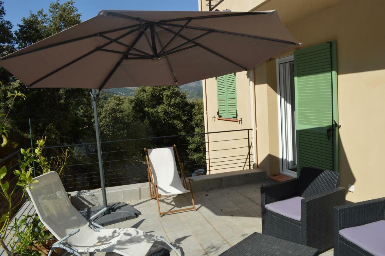 La Villa Volpaso Belgodère 외부 사진