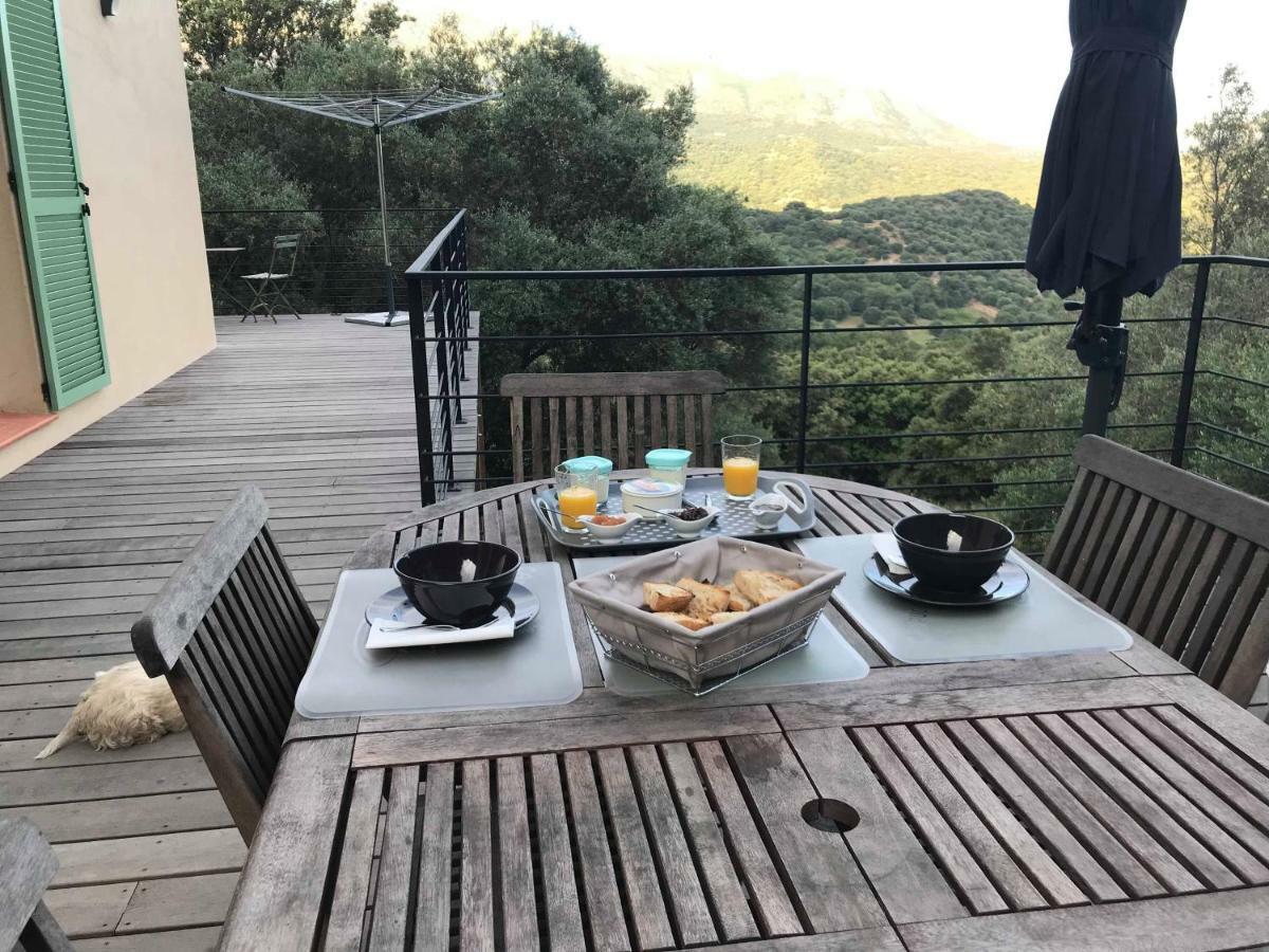 La Villa Volpaso Belgodère 외부 사진